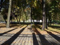 &quot;Rudens šešėliai&quot; Dmitrij Fedosejev